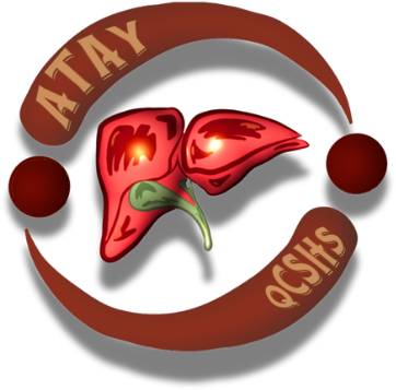 ataynafld.site favicon